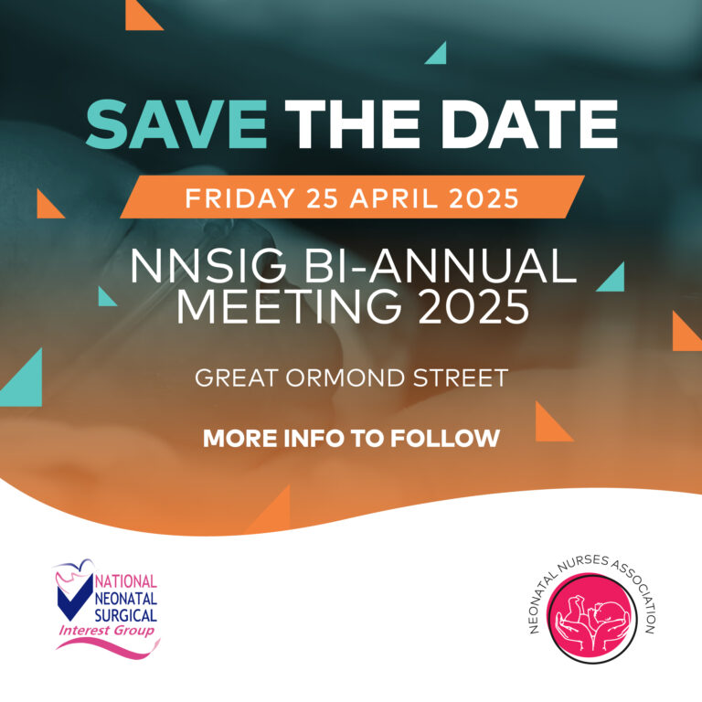 NNSIG BI Annual STD_APRIL25-01