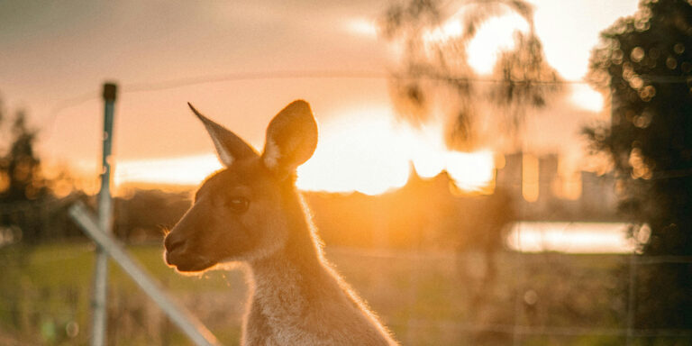 west australia